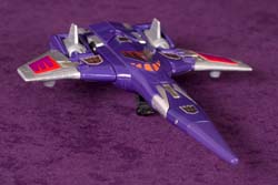 cyclonus1229